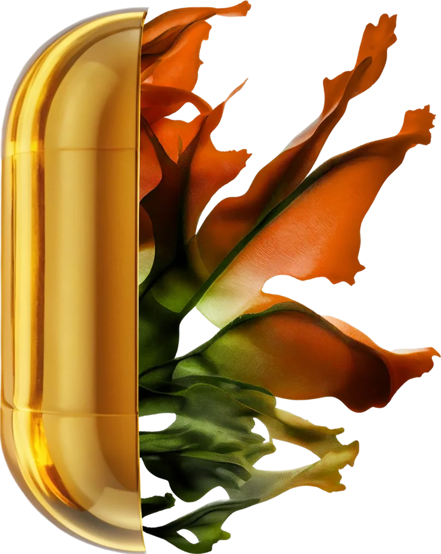 Cápsula de omega 3 abierta con microalgas en su interior